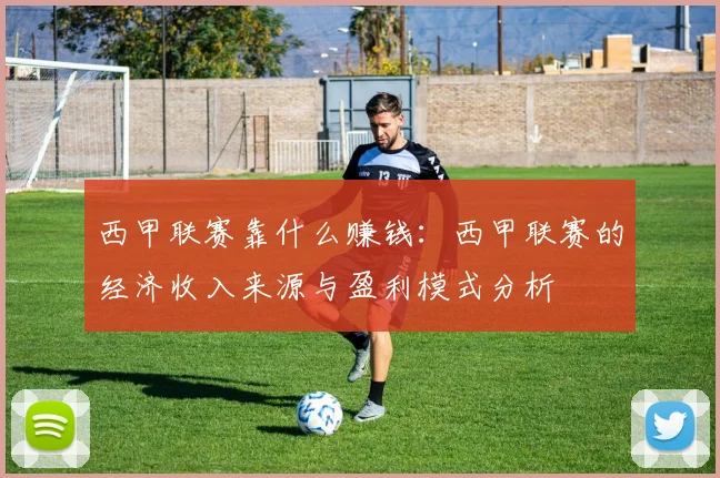 西甲联赛靠什么赚钱:西甲联赛的经济收入来源与盈利模式分析