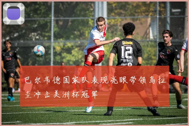 巴尔韦德国家队表现亮眼带领乌拉圭冲击美洲杯冠军