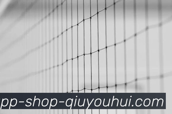 球友会appAPP 封面图